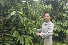 Phụ nữ Ia Khươl vượt qua khuôn mẫu, tự tin vươn lên