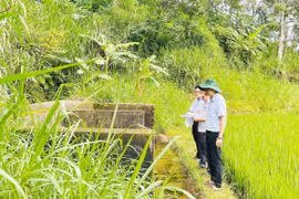 Phường Thống Nhất đề xuất đầu tư 179 tỷ đồng phát triển hạ tầng
