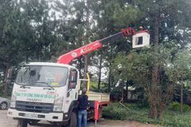 Công ty cổ phần Công trình Đô thị Gia Lai huy động lực lượng, phương tiện trực chiến 24/24 giờ để ứng phó bão số 13.