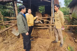 Đặng Đình Tấn: Cán bộ Mặt trận gần dân, kết nối cộng đồng
