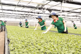Gia Lai: Chấp thuận chủ trương đầu tư 17 dự án