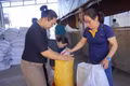 Phường Hội Phú: Cấp phát gạo cho 401 hộ có hoàn cảnh khó khăn dịp Tết Nguyên đán Bính Ngọ