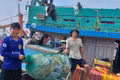 Ngư dân Gia Lai tích cực bảo tồn biển