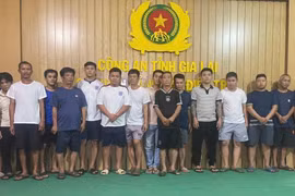 Gia Lai: Triệt phá đường dây cá độ bóng đá mùa World Cup 2026