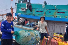 Ngư dân Gia Lai tích cực bảo tồn biển
