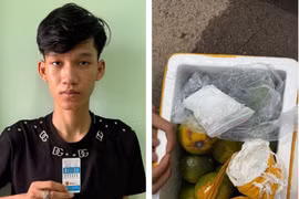 Khởi tố đối tượng vận chuyển gần 100 gam ma túy ngụy trang trong thùng cam