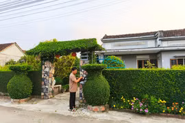 Hàng rào xanh: Nét duyên riêng của làng du lịch Thuận Nghĩa