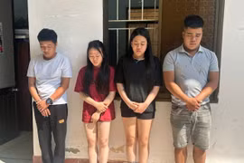 Xóa ổ ma túy tổ chức sử dụng trên xe ô tô 