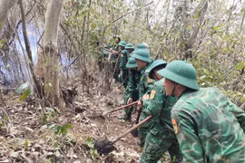 120 cán bộ, chiến sĩ tham gia chữa cháy rừng phòng hộ tại phường Quy Nhơn Nam