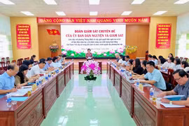 Ủy ban Dân nguyện và Giám sát của Quốc hội khảo sát hoạt động y tế tại phường Thống Nhất