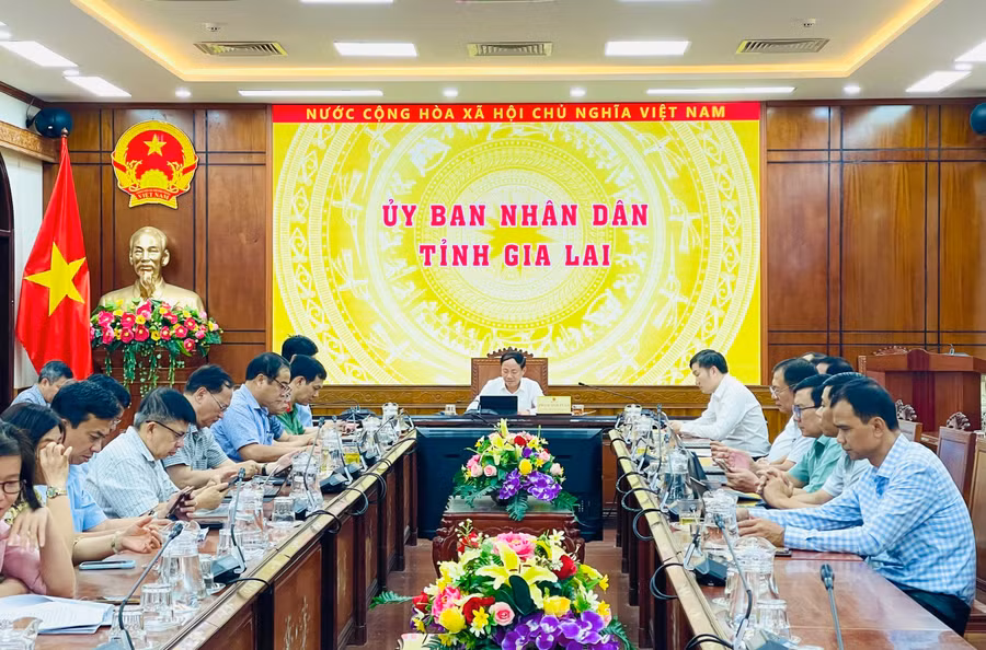 hoi-nghi-truc-tuyen-tai-diem-cau-tinh-gia-lai.jpg
