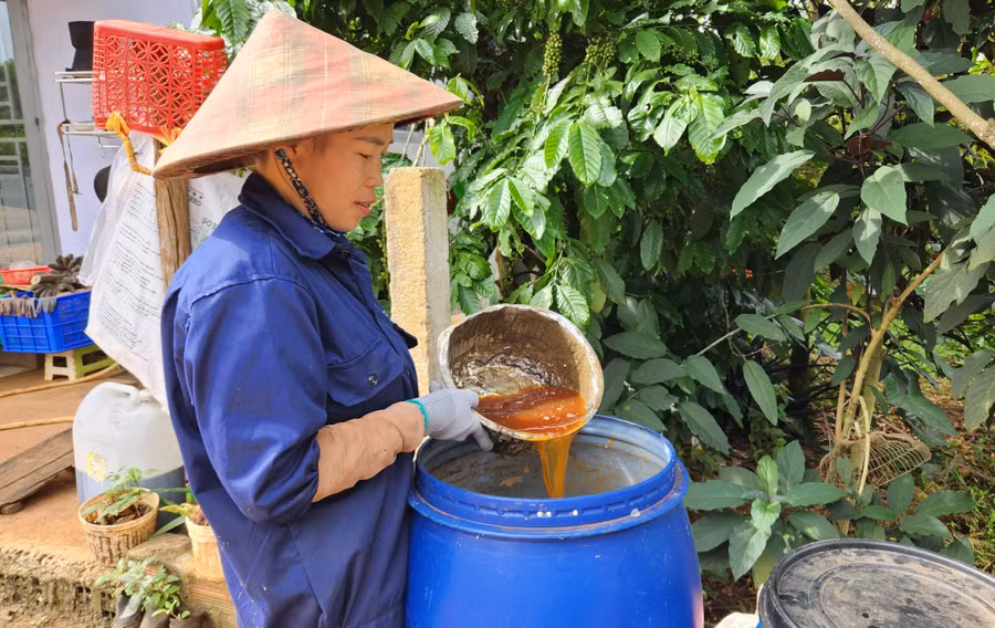 ba-nguyen-thi-thao-thon-4-xa-ia-ko-u-che-pham-imo-de-bon-cho-vuon-ca-phe.jpg