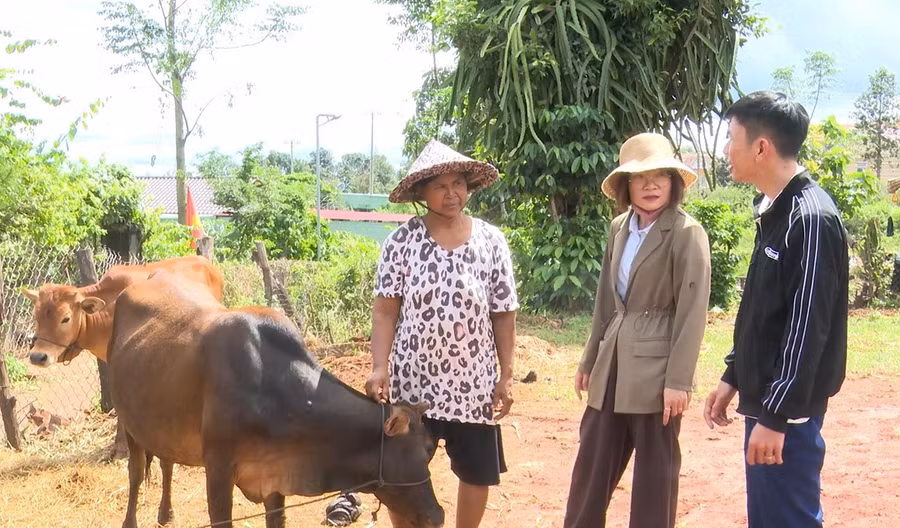 can-bo-phong-kinh-te-xa-chu-se-tinh-gia-lai-trao-doi-voi-cac-ho-dan-o-lang-greo-pet-ve-cach-cham-soc-phong-benh-cho-dan-bo.jpg