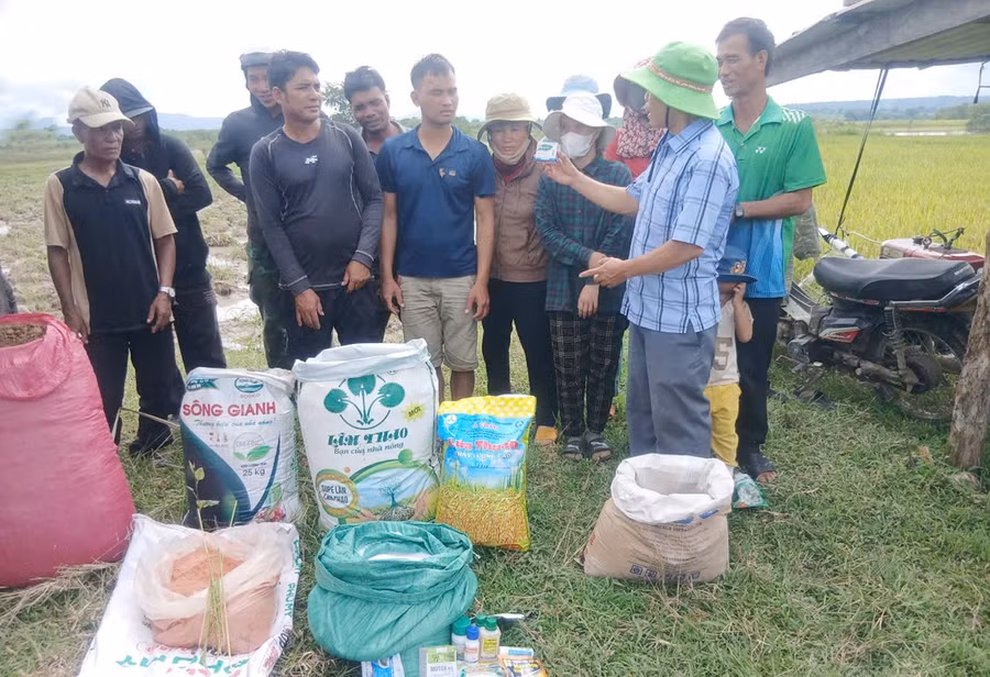 mot-buoi-hoc-ve-ap-dung-ky-thuat-cham-soc-lua-dien-ra-ngay-tren-dong-ruong.jpg