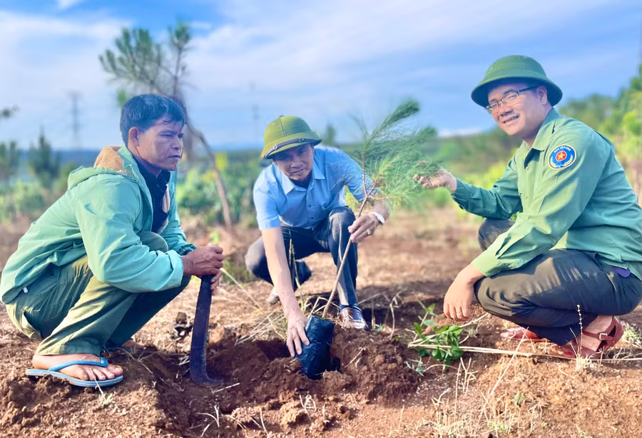 ban-quan-ly-rung-phong-ho-bac-bien-ho-da-hoan-thanh-toan-bo-ke-hoach-duoc-giao-nam-2025.jpg
