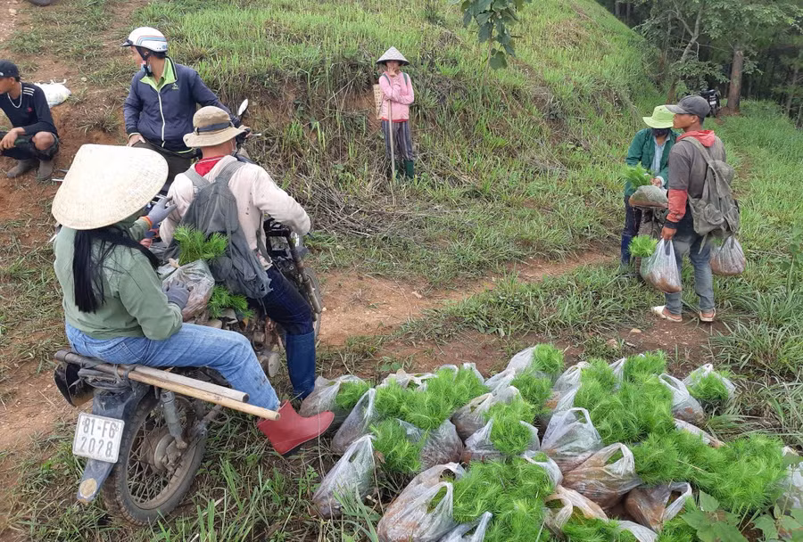 dong-bao-dan-toc-thieu-so-tham-gia-trong-rung-phong-ho-tai-xa-ha-ra.jpg