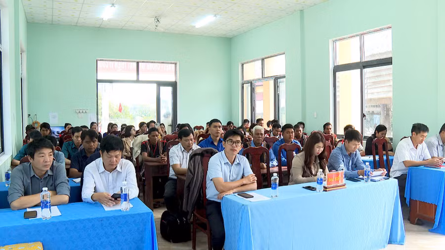 quang-canh-buoi-ket-nghia.jpg