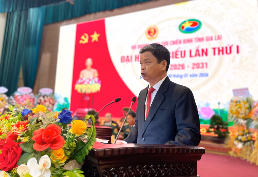 pho-chu-tich-ubnd-tinh-phat-bieu-tai-dai-hoi.jpg