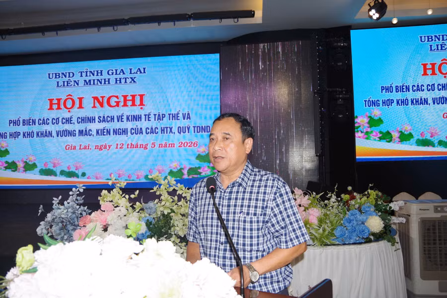ong-ngo-thanh-ly-chu-tich-lien-minh-htx-tinh-gia-lai-phat-bieu-tai-hoi-nghi.jpg