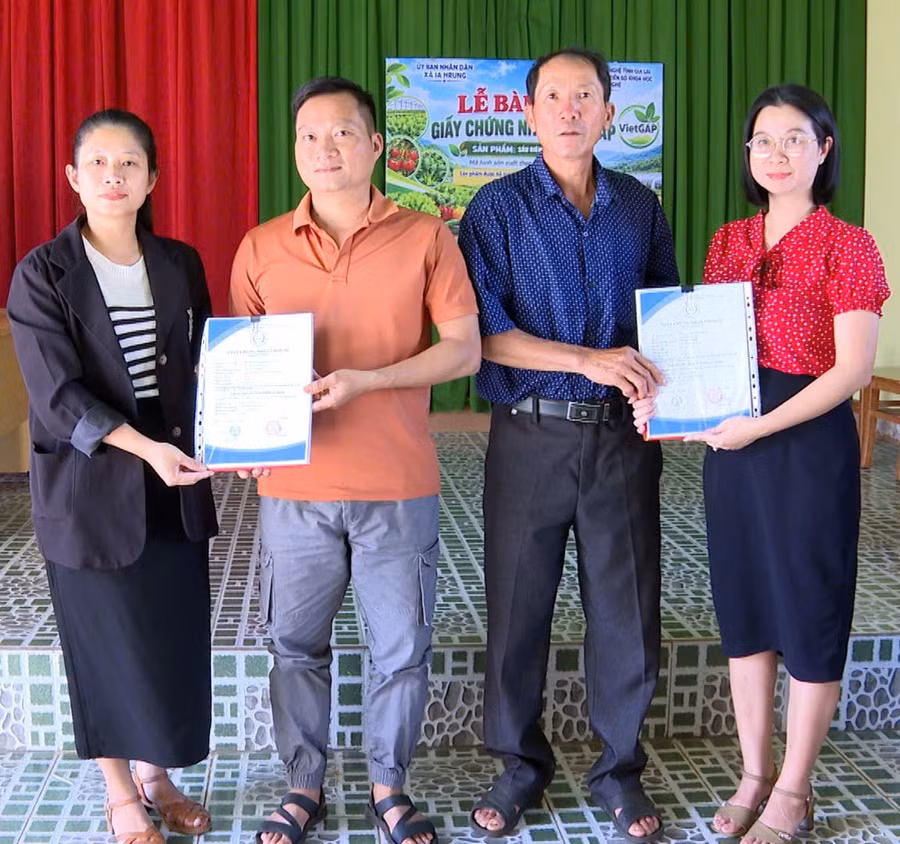 trung-tam-ung-dung-tien-bo-khoa-hoc-va-cong-nghe-tinh-gia-lai-trao-chung-nhan-vietgap-cho-2-ho-san-xuat-nong-nghiep.jpg