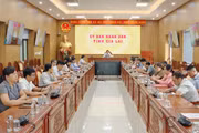 Hội nghị trực tuyến toàn quốc triển khai kế hoạch tổ chức Ngày Pháp luật Việt Nam năm 2026