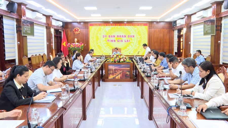 quang-canh-hoi-nghi.jpg