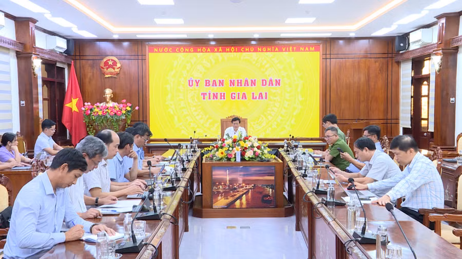 quang-canh.jpg