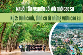 Định canh, định cư từ những vườn cao su