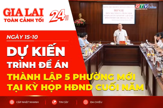 Toàn cảnh Gia Lai 24h: Dự kiến trình đề án thành lập 5 phường mới tại kỳ họp HĐND cuối năm
