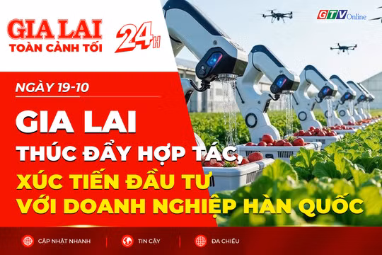 Toàn cảnh Gia Lai 24h: Thúc đẩy hợp tác, xúc tiến đầu tư với doanh nghiệp Hàn Quốc