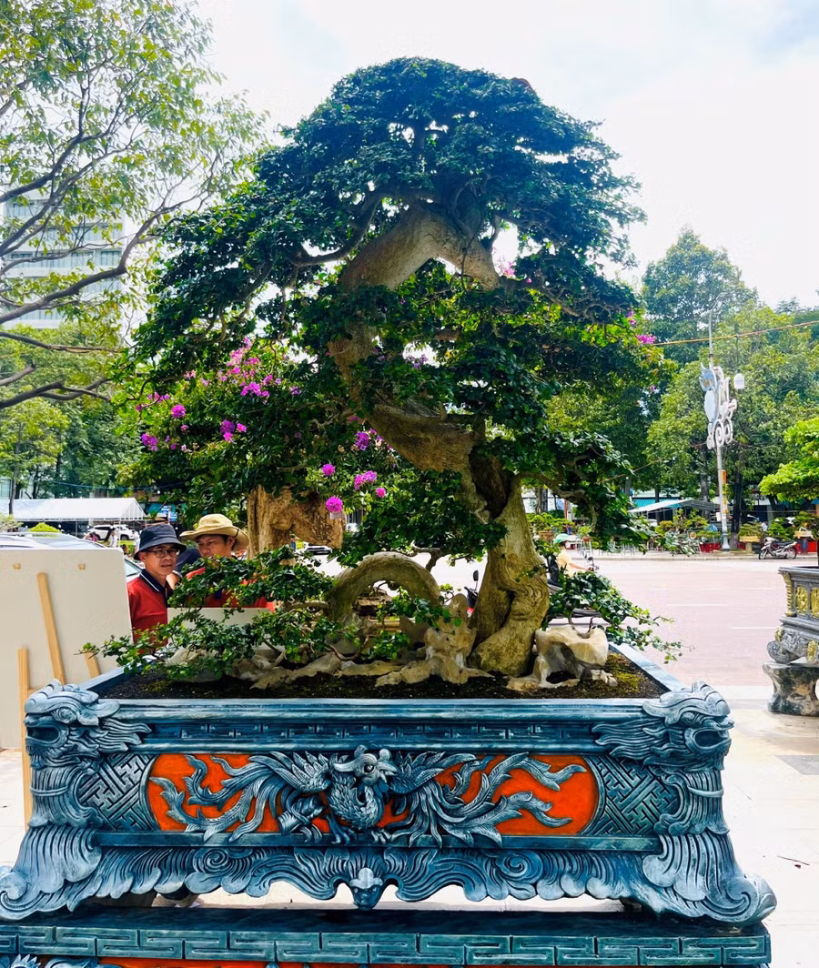 lien-hoan-sinh-vat-canh-tinh-gia-lai-16.jpg