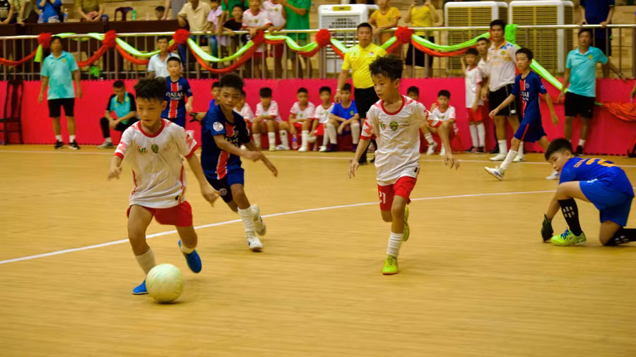 giai-bong-da-thieu-nien-nhi-dong-tinh-gia-lai-nam-2026-5.jpg