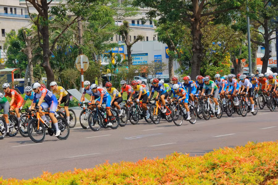 chang-13-giai-dua-xe-dap-tranh-cup-truyen-hinh-tp-ho-chi-minh-nam-2026-9.jpg