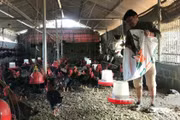 Khai giảng 2 lớp đào tạo nghề cho nông dân, cựu chiến binh xã An Nhơn Tây