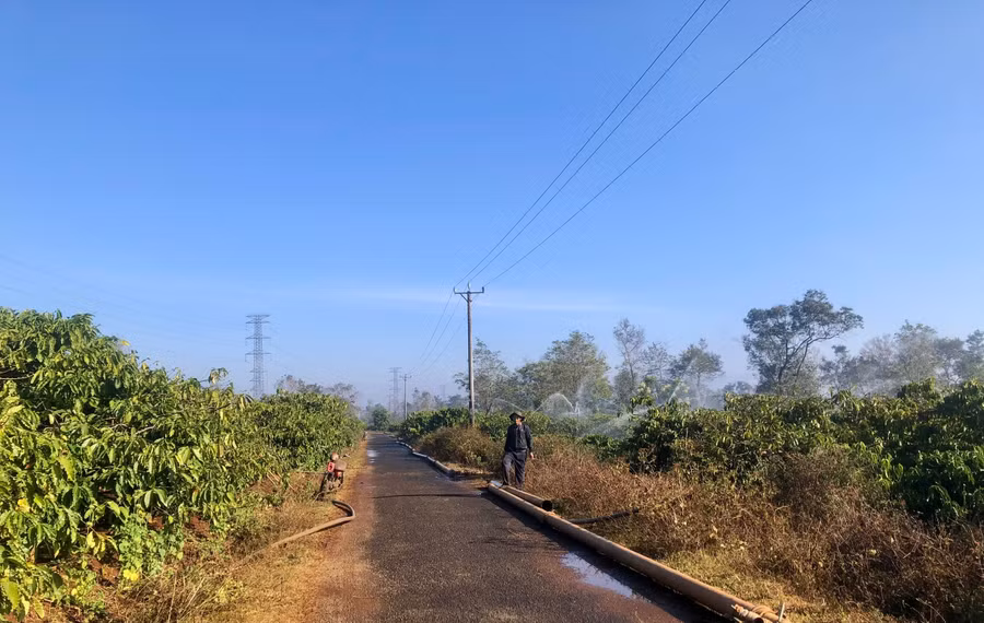 cong-ty-ca-phe-ia-sao-2-huyen-ia-grai-dang-trien-khai-tuoi-nuoc-dot-1-cho-nhugn74-dien-tich-ca-phe-cua-cong-ty.jpg