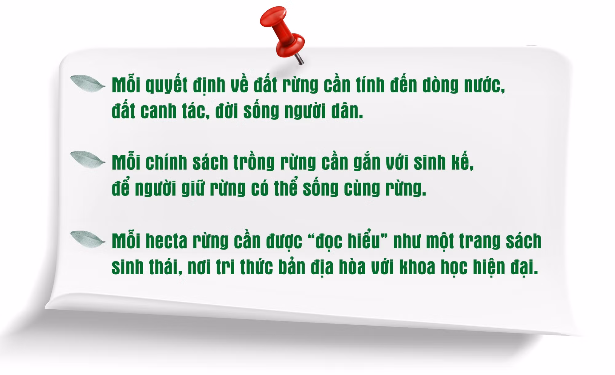 hinh10.jpg