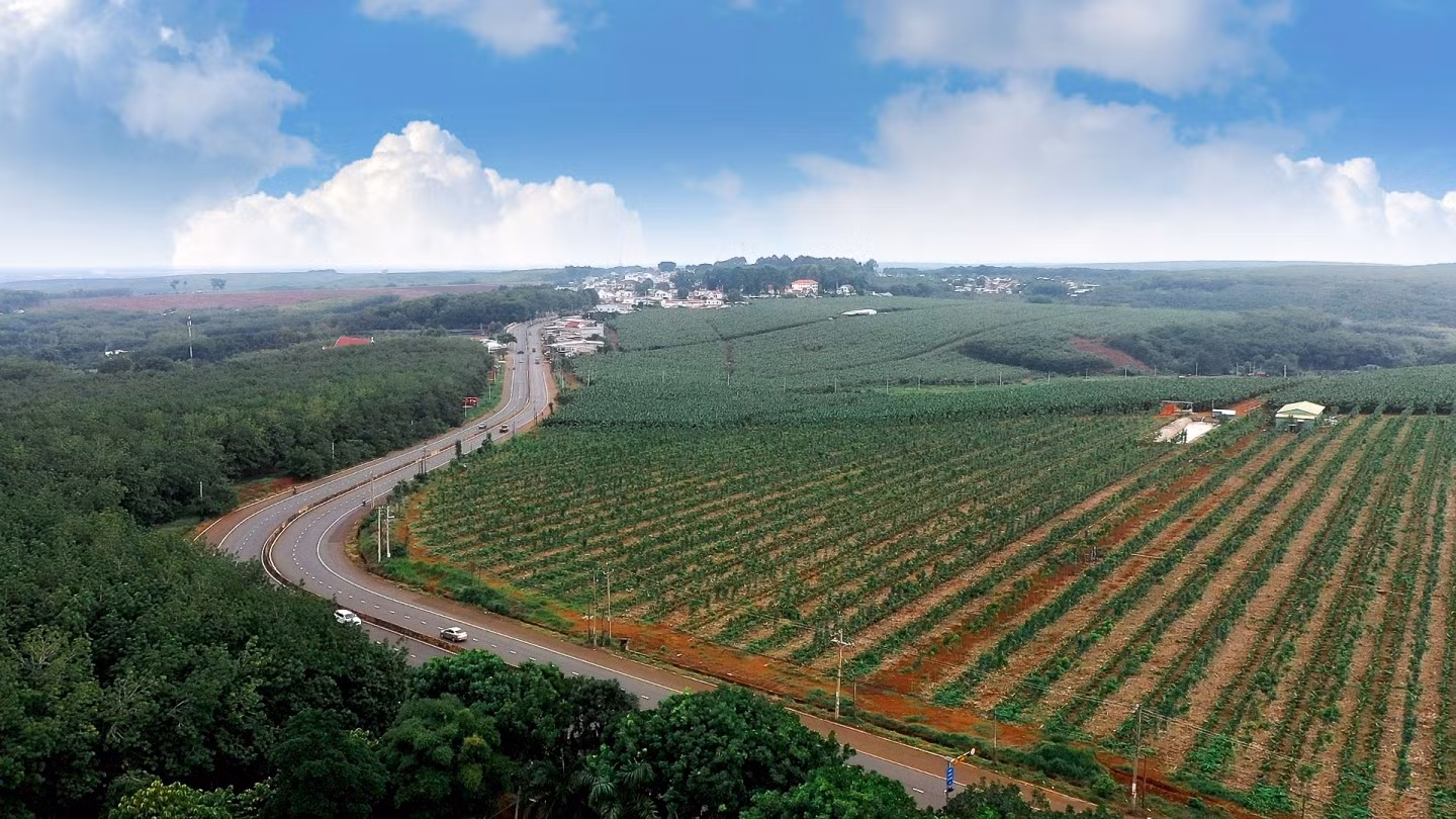 tien-dung-29-999-21172611122024.jpg
