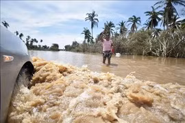Bão Trudy suy yếu, Mexico vẫn đề phòng sóng lớn và mưa lũ