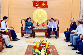 Bí thư Tỉnh ủy Thái Đại Ngọc tiếp Đại sứ đặc mệnh toàn quyền nước Cộng hòa Dân chủ Nhân dân Lào tại Việt Nam