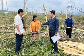 Tiếp sức cho người dân tái thiết sau bão lũ