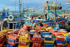 Chợ cá cầu Hàm Tử