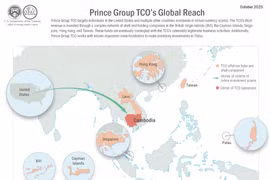 Mạng lưới hoạt động xuyên quốc gia liên quan đến Prince Group