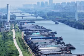 Tàu thuyền neo đậu tránh bão tại kênh đào Đại Vận Hà ở thành phố Dương Châu.